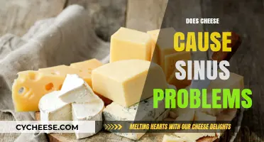 Cheese and Sinus Issues: Unraveling the Dairy-Congestion Connection