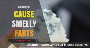 Cheese and Flatulence: Unraveling the Smelly Fart Mystery