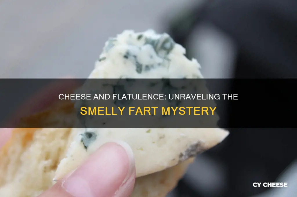does cheese cause smelly farts