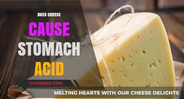 Cheese and Stomach Acid: Unraveling the Digestive Connection