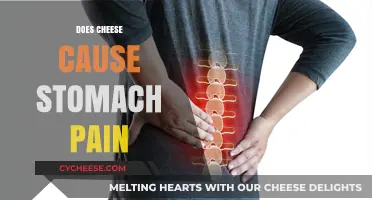 Does Cheese Cause Stomach Pain? Unraveling the Dairy Dilemma