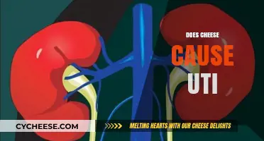 Does Cheese Cause UTIs? Unraveling the Myth and Facts