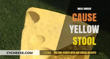 Cheese and Yellow Stool: Unraveling the Surprising Connection