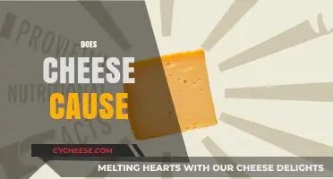 Does Cheese Cause Health Issues or Benefits? Separating Fact from Fiction