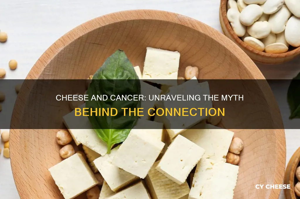 does cheese causes cancer