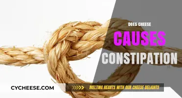 Does Cheese Cause Constipation? Unraveling the Dairy and Digestion Debate