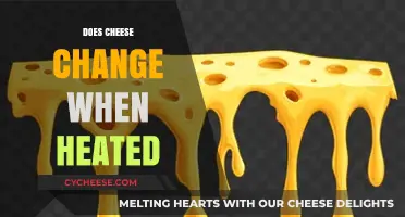 How Heat Transforms Cheese: Texture, Flavor, and Melting Explained