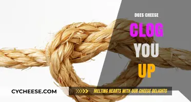 Does Cheese Cause Constipation? Unraveling the Dairy and Digestion Myth