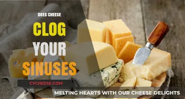 Does Cheese Clog Your Sinuses? Unraveling the Myth and Facts