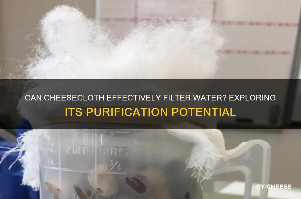 does cheese cloth filter water