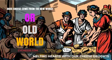 Cheese Origins Unveiled: New World vs. Old World Traditions