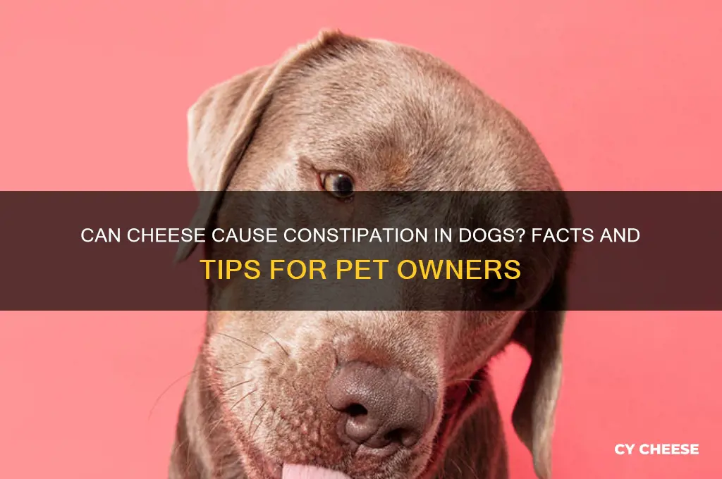 does cheese constipate a dog