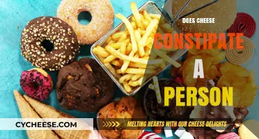 Does Cheese Cause Constipation? Unraveling the Dairy-Digestive Connection