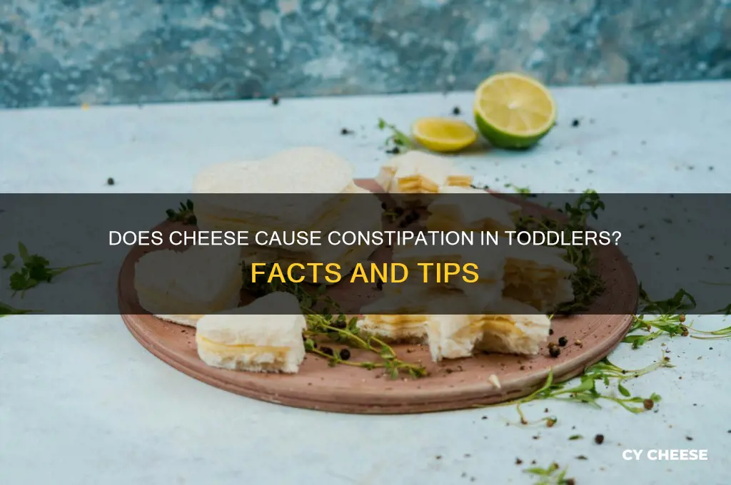 does cheese constipate toddlers