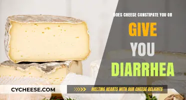 Cheese and Digestion: Constipation or Diarrhea? Unraveling the Truth