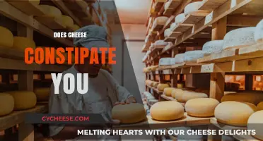 Does Cheese Cause Constipation? Unraveling the Dairy Dilemma