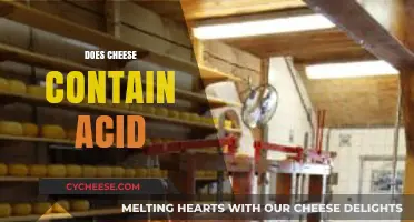 Does Cheese Contain Acid? Uncovering the Truth About Cheese Acidity