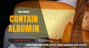 Does Cheese Contain Albumin? Unraveling the Protein Mystery in Dairy