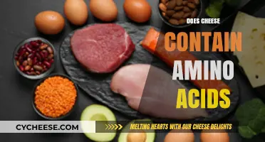Cheese and Amino Acids: Uncovering the Nutritional Benefits
