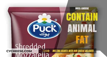 Does Cheese Contain Animal Fat? Uncovering the Truth About Dairy