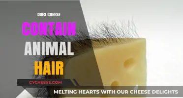 Does Cheese Contain Animal Hair? Unraveling the Truth Behind the Myth