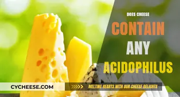 Does Cheese Contain Acidophilus? Uncovering Probiotic Truths in Dairy