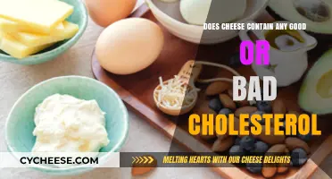 Cheese and Cholesterol: Uncovering the Good, the Bad, and the Truth