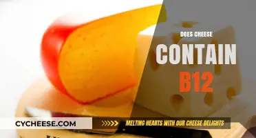 Does Cheese Contain Vitamin B12? Uncovering the Nutritional Truth