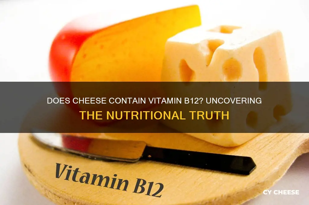 does cheese contain b12