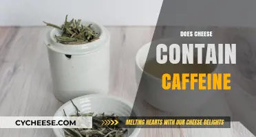 Does Cheese Contain Caffeine? Unraveling the Myth and Facts