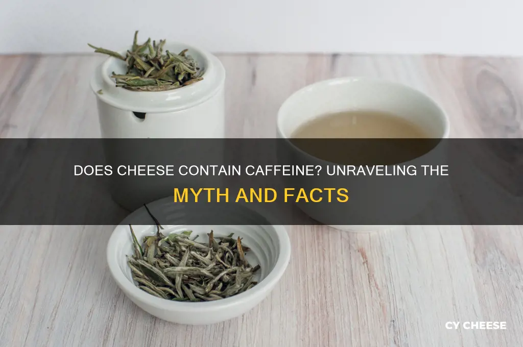 does cheese contain caffeine