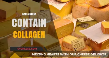 Does Cheese Contain Collagen? Unraveling the Truth About Dairy and Skin Health