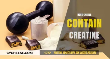 Does Cheese Contain Creatine? Uncovering the Truth About Dairy and Muscle Fuel