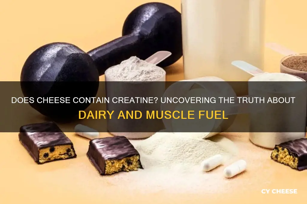 does cheese contain creatine