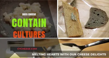Does Cheese Contain Cultures? Unveiling the Fermented Truth Behind Your Favorite Dairy