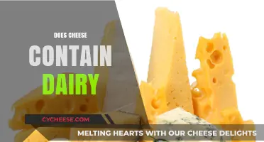 Is Cheese Dairy-Free? Unraveling the Truth About Cheese and Dairy