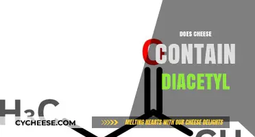 Does Cheese Contain Diacetyl? Uncovering the Truth Behind This Flavor Compound