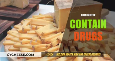 Does Cheese Contain Drugs? Unraveling the Myth and Facts