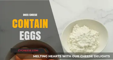 Does Cheese Contain Eggs? Unraveling the Dairy and Egg Connection