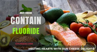 Does Cheese Contain Fluoride? Uncovering the Truth About Dairy and Fluoride