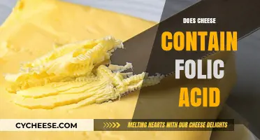 Does Cheese Contain Folic Acid? Uncovering Nutritional Facts