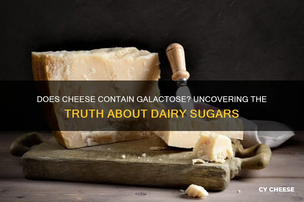 does cheese contain galactose