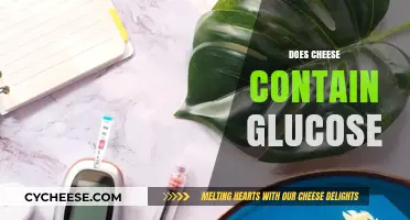 Does Cheese Contain Glucose? Unraveling the Nutritional Facts