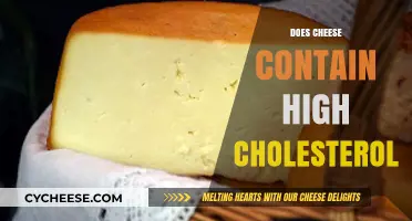 Does Cheese Boost Cholesterol? Uncovering the Truth About Dairy Fats