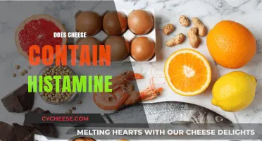 Does Cheese Contain Histamine? Uncovering the Truth for Food Sensitivity