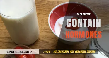 Does Cheese Contain Hormones? Unraveling the Dairy Hormone Debate