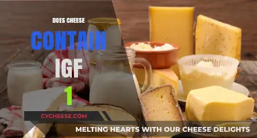 Does Cheese Contain IGF-1? Uncovering the Facts and Myths
