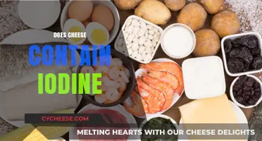 Does Cheese Contain Iodine? Uncovering the Truth About Dairy's Nutrient Profile
