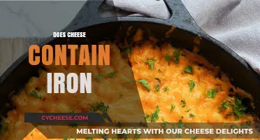 Does Cheese Contain Iron? Uncovering the Nutritional Facts