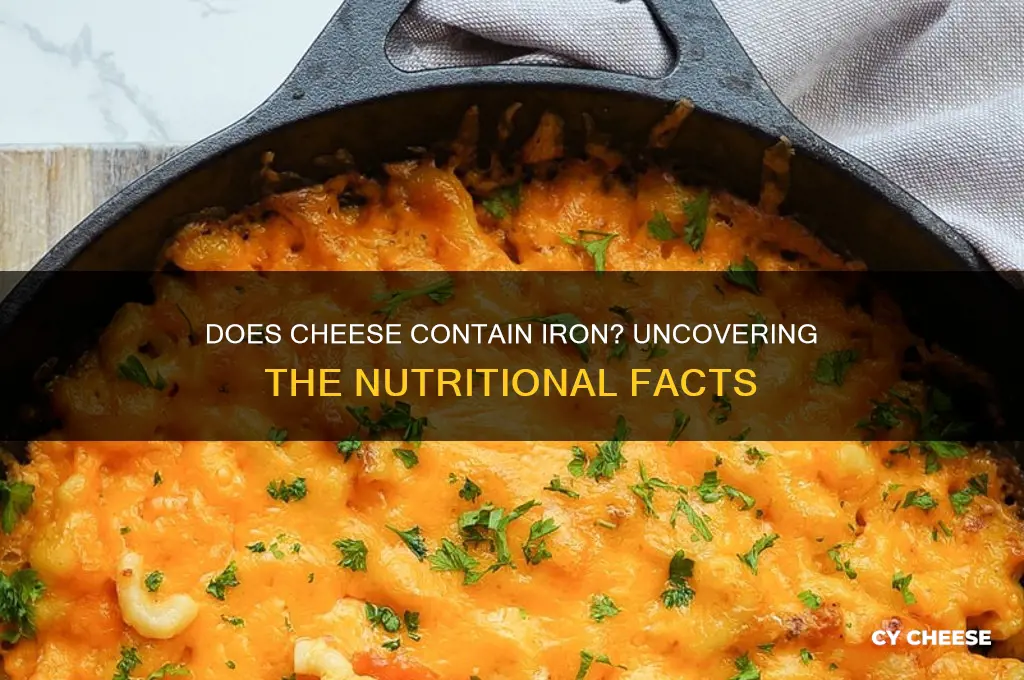 does cheese contain iron